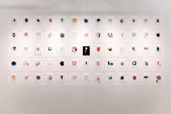 Contour Art Fair, Nizhny Novgorod, Art Fair, Art Market