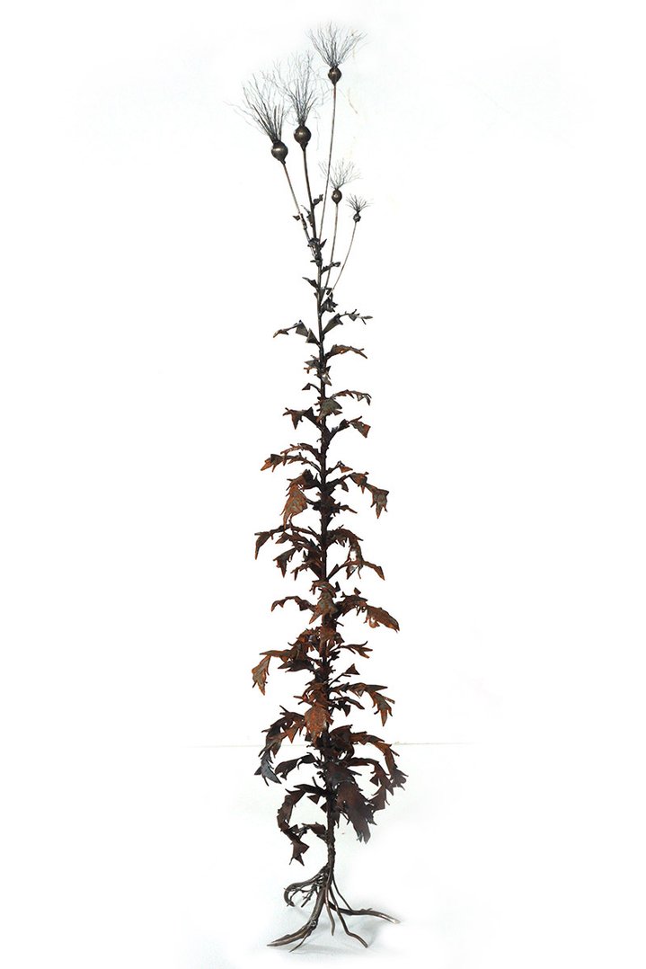 Dmitry Bulnygin, Winter Herbarium, Between the pages, Weeds