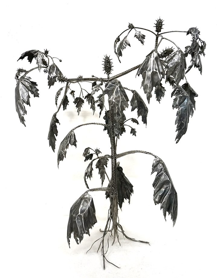 Dmitry Bulnygin, Winter Herbarium, Between the pages, Weeds